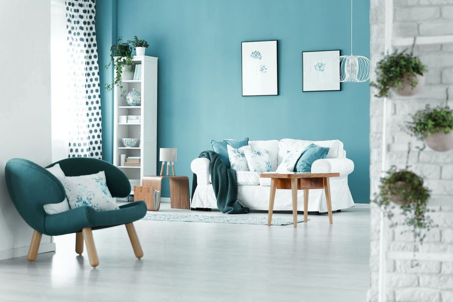 màu xanh và màu trắng kết hợp